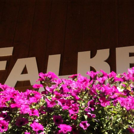 זולדן Haus Falke מראה חיצוני תמונה