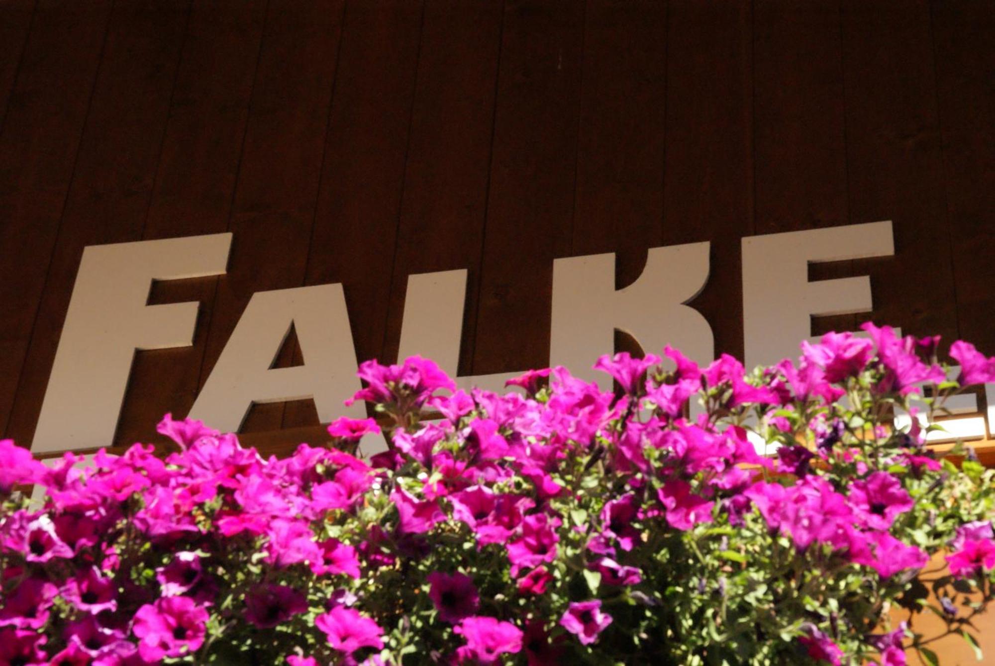 זולדן Haus Falke מראה חיצוני תמונה